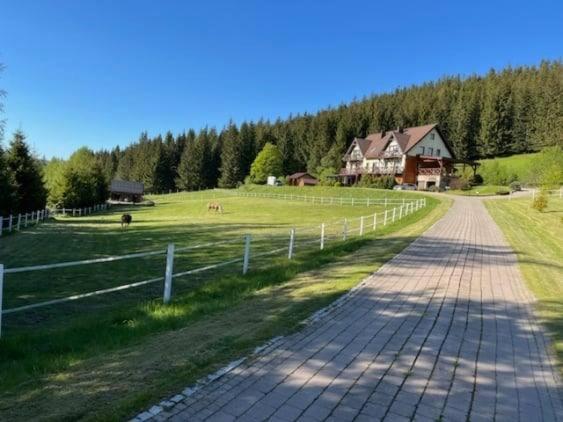 Вілла Wichrowe Wzgorze Строне-Шльонське Екстер'єр фото